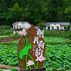 金元镇