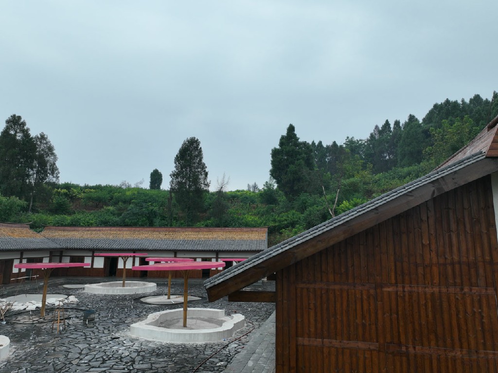 20220702中国宋井桃源乡游第一村-拍摄张昌明DJI_0010.jpg