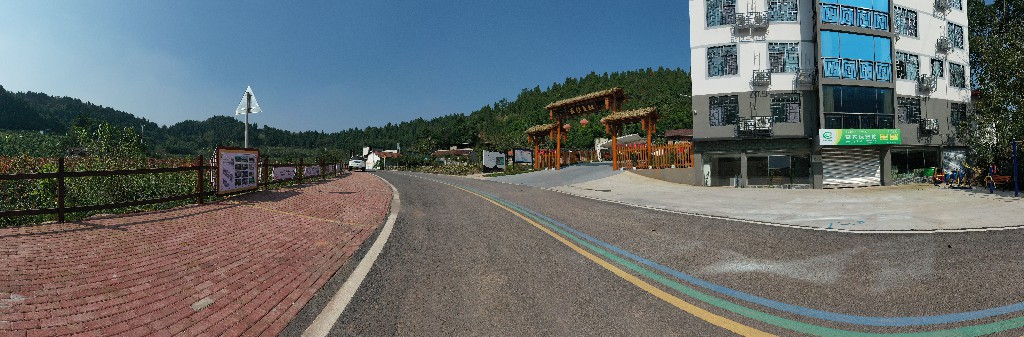 20201107红豆杉-军辉农场-黎明村-图片为主DJI_0853.jpg