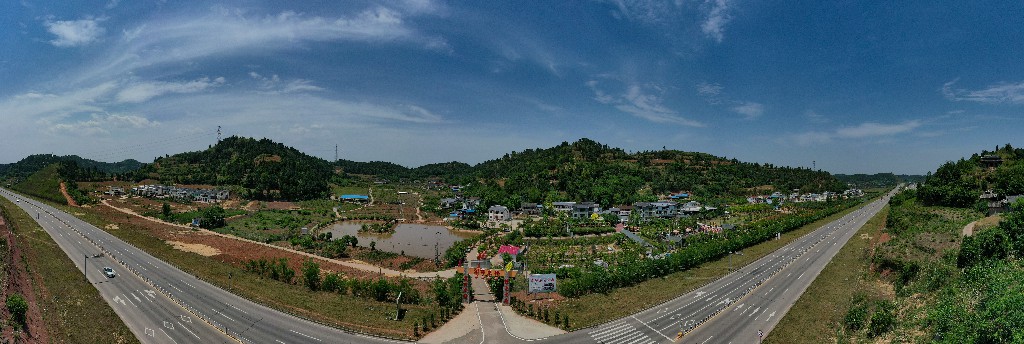 隆盛-军辉农场-张昌明-20200917-DJI_0211.jpg
