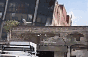 11.gif