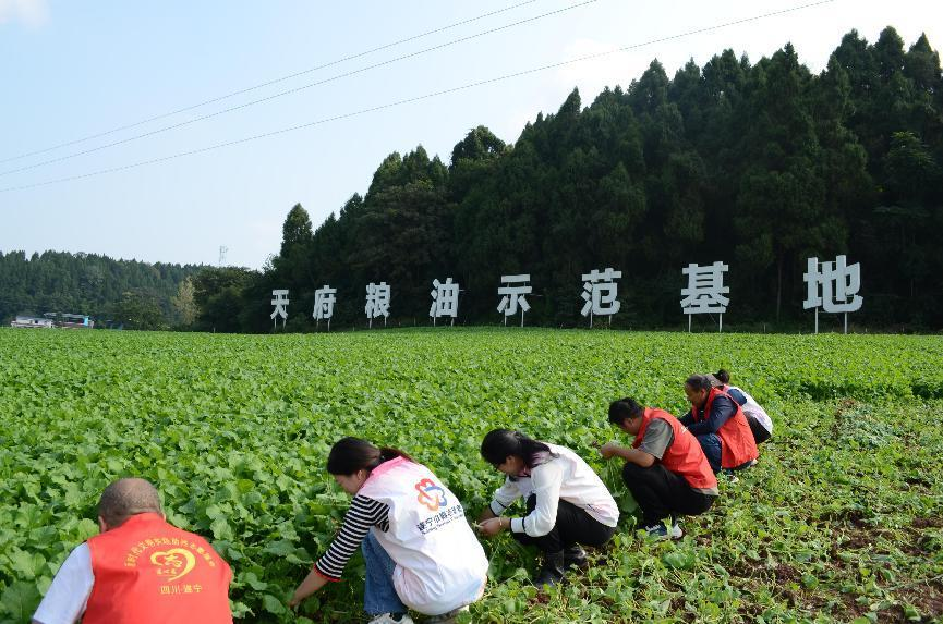 图片2.png